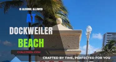 Can You Drink Alcohol at Dockweiler Beach? Rules and Regulations