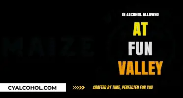 Is Alcohol Allowed at Fun Valley? Rules and Guidelines Explained
