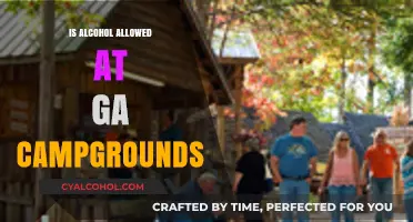 Can You Bring Alcohol to Georgia Campgrounds? Rules Explained