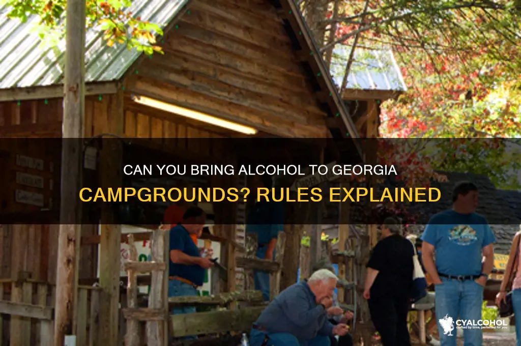 is alcohol allowed at ga campgrounds