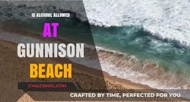 Alcohol Policies at Gunnison Beach: What You Need to Know