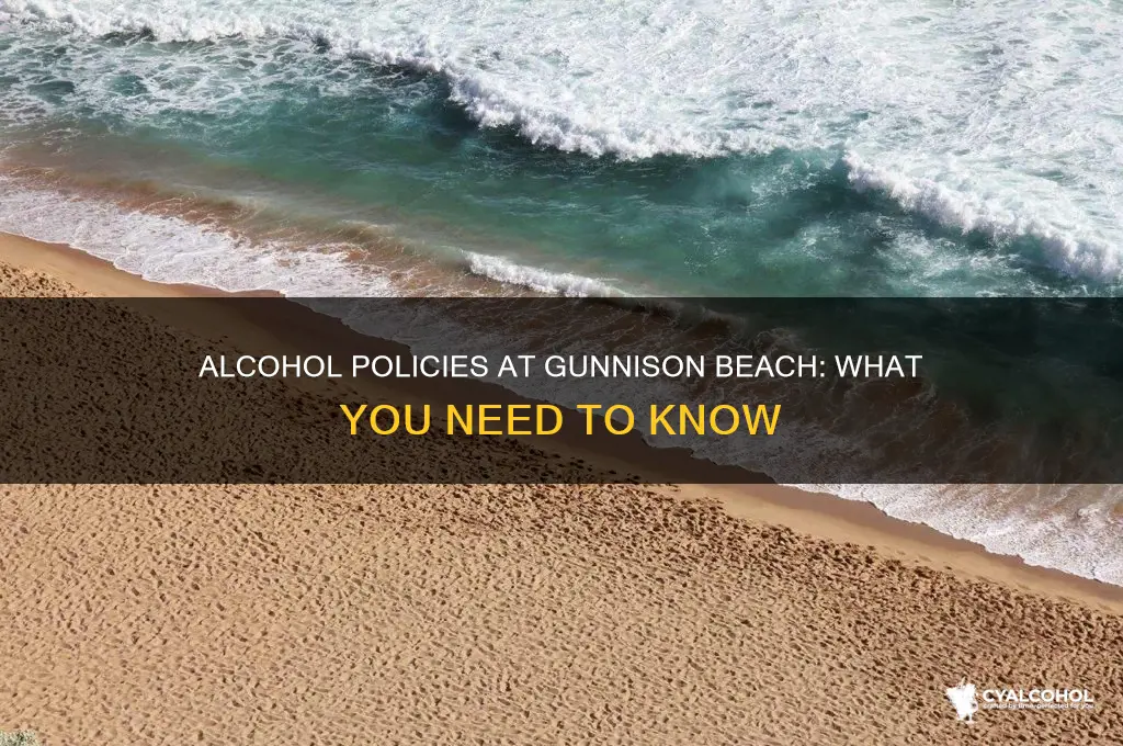 is alcohol allowed at gunnison beach