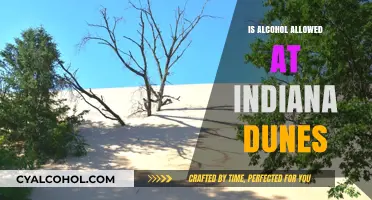 Can You Bring Alcohol to Indiana Dunes? Rules and Regulations Explained
