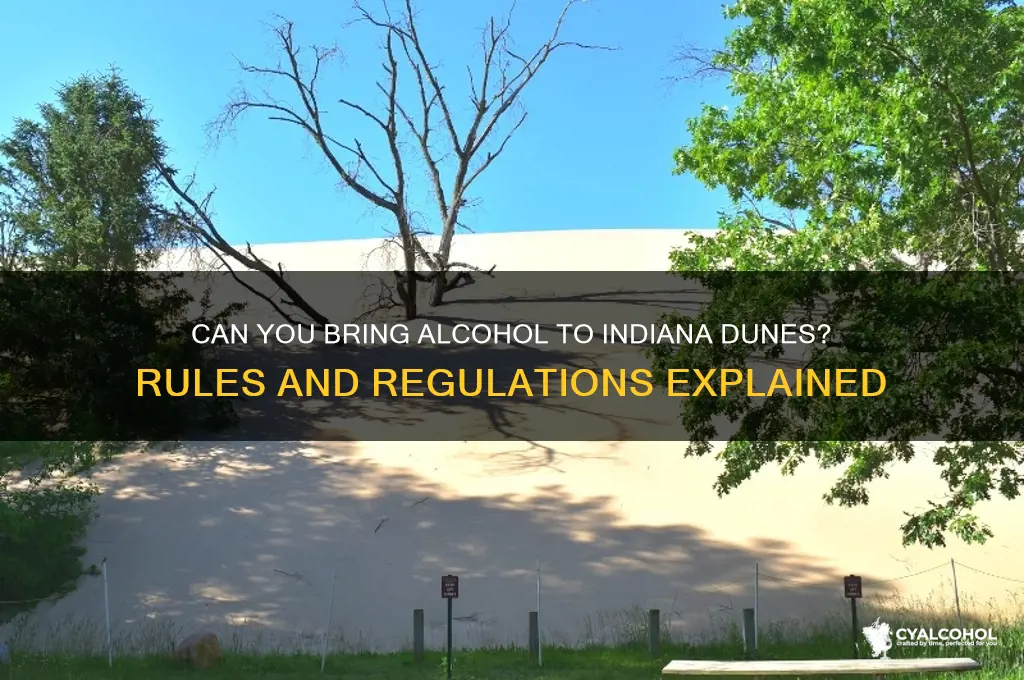 is alcohol allowed at indiana dunes