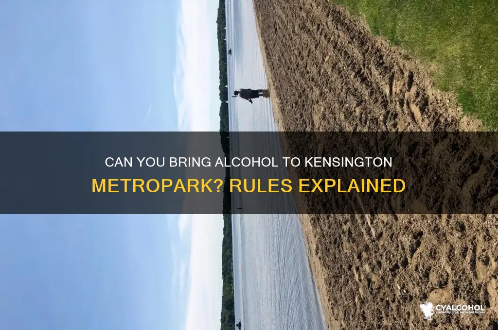 is alcohol allowed at kensington metropark