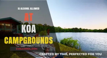 Can You Bring Alcohol to KOA Campgrounds? Rules Explained