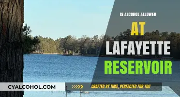 Can You Bring Alcohol to Lafayette Reservoir? Rules Explained