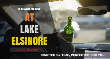 Can You Drink Alcohol at Lake Elsinore? Rules and Regulations Explained