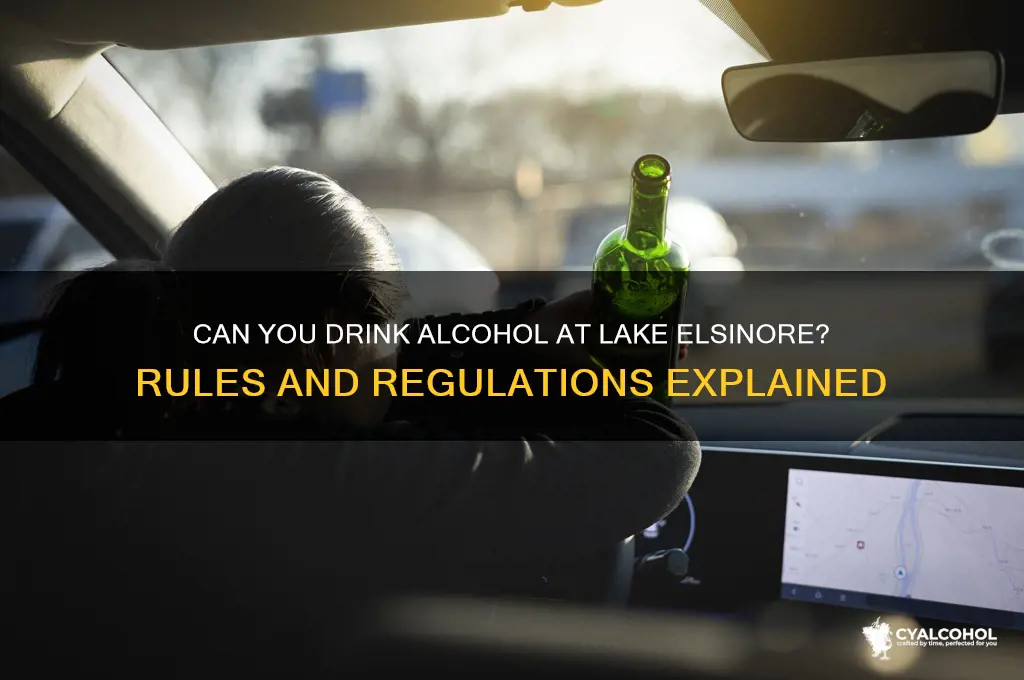 is alcohol allowed at lake elsinore