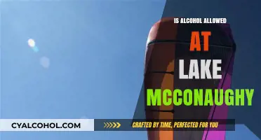 Alcohol at Lake McConaughy: Rules, Regulations, and What You Need to Know