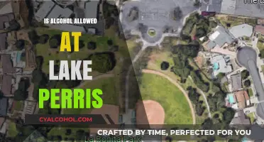 Can You Bring Alcohol to Lake Perris? Rules and Regulations Explained