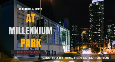 Alcohol Policy at Millennium Park: What You Need to Know