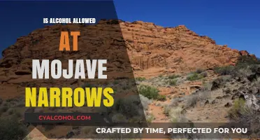Alcohol Policy at Mojave Narrows: What You Need to Know