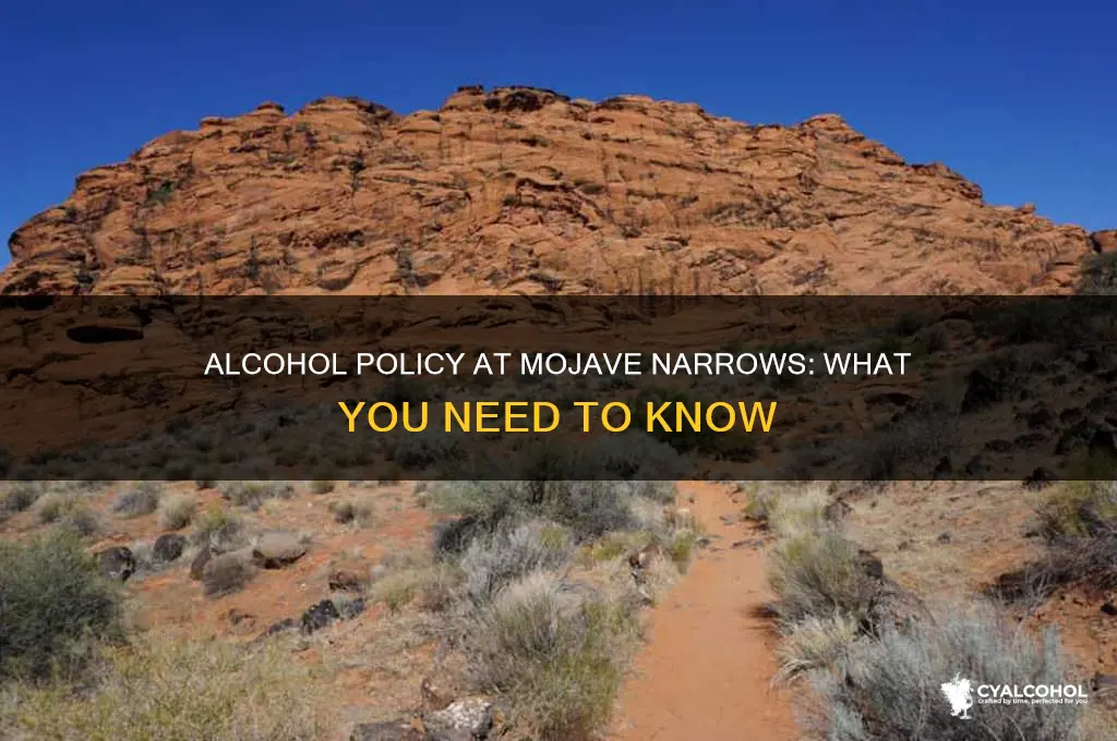 is alcohol allowed at mojave narrows