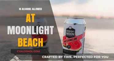 Alcohol Policy at Moonlight Beach: What You Need to Know