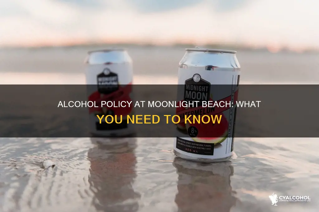 is alcohol allowed at moonlight beach