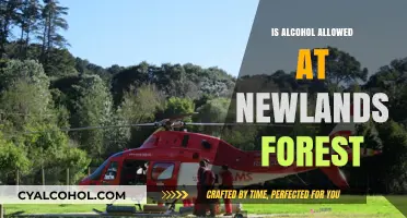 Alcohol Rules at Newlands Forest: What You Need to Know