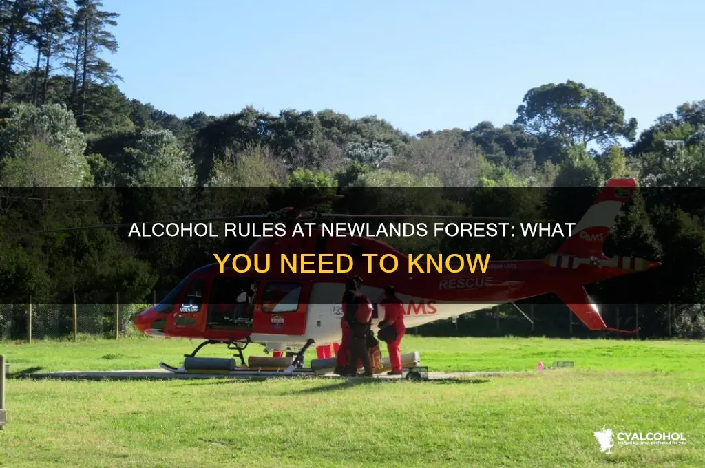 is alcohol allowed at newlands forest