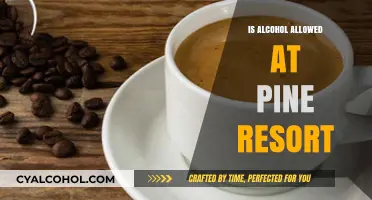 Alcohol Policy at Pine Resort: What You Need to Know