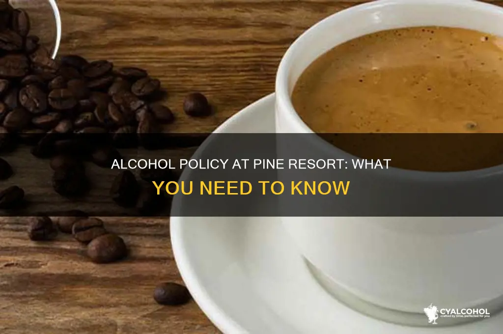 is alcohol allowed at pine resort
