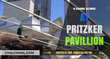 Can You Bring Alcohol to Pritzker Pavilion? Rules and Guidelines