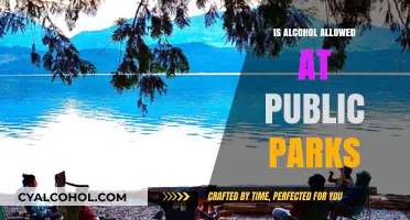 Public Parks and Alcohol: Understanding Local Rules and Regulations