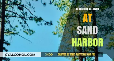 Can You Bring Alcohol to Sand Harbor? Rules and Regulations Explained