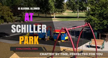 Schiller Park Alcohol Policy: What You Need to Know