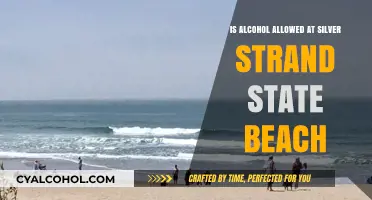 Alcohol Rules at Silver Strand State Beach