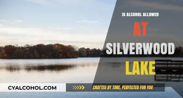 Can You Bring Alcohol to Silverwood Lake? Rules and Guidelines
