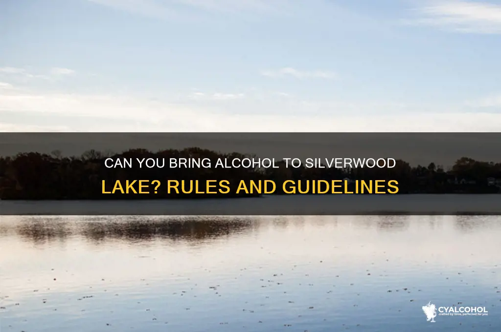 is alcohol allowed at silverwood lake