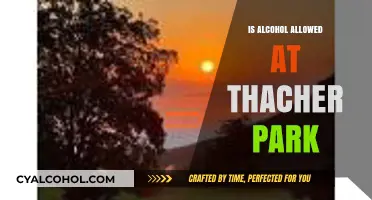 Alcohol Policy at Thacher Park: What You Need to Know