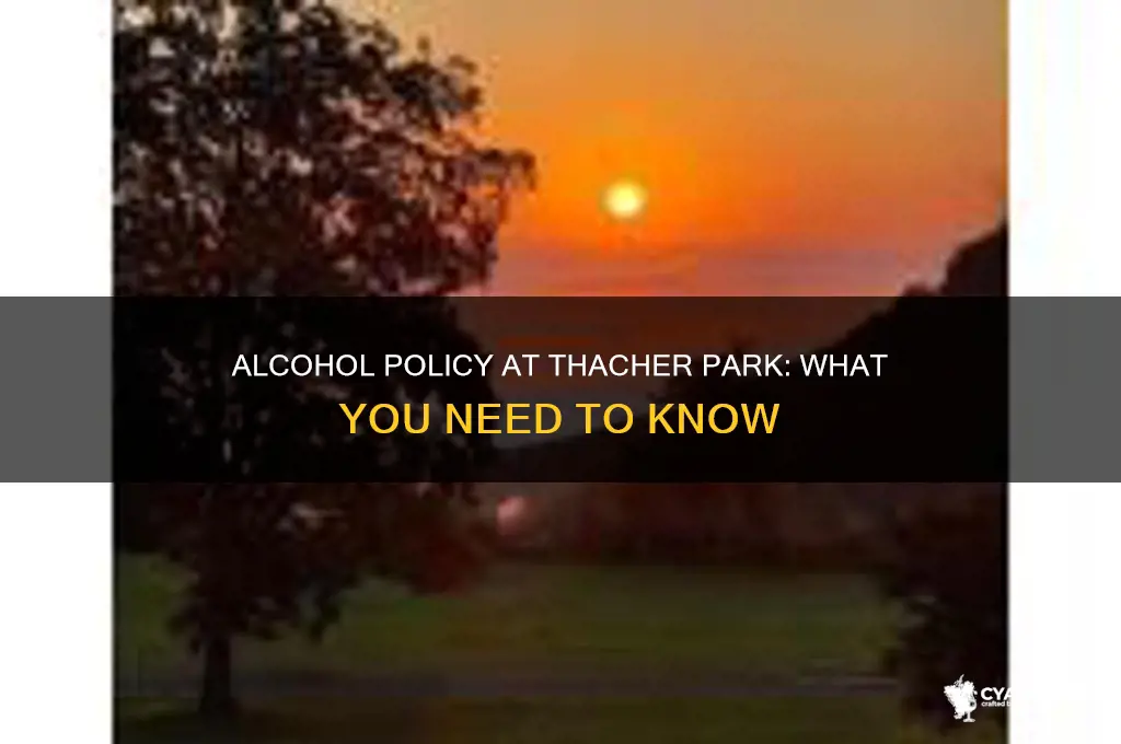 is alcohol allowed at thacher park