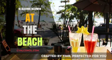 Can You Bring Alcohol to the Beach? Rules and Regulations Explained