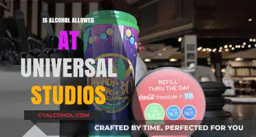 Can You Bring Alcohol to Universal Studios? Rules and Tips