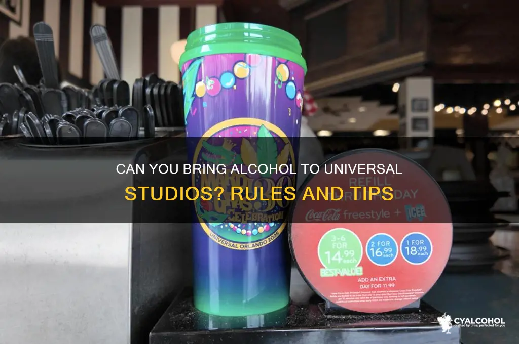 is alcohol allowed at universal studios