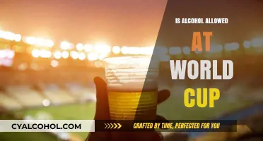 Alcohol Policies at the World Cup: What Fans Need to Know
