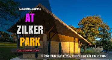Can You Bring Alcohol to Zilker Park? Rules and Guidelines Explained