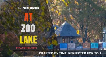 Can You Bring Alcohol to Zoo Lake? Rules and Regulations Explained