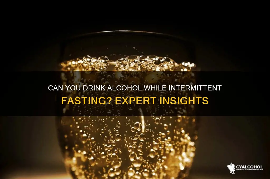 is alcohol allowed during intermittent fasting