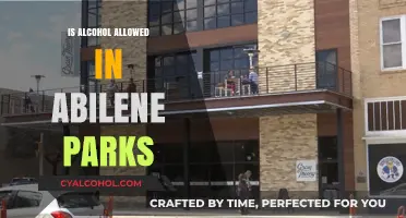 Alcohol in Abilene Parks: Rules, Regulations, and What You Need to Know