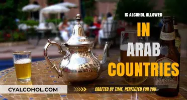 Alcohol Laws in Arab Countries: What Travelers Need to Know