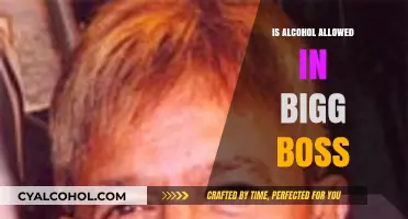 Bigg Boss House Rules: Alcohol Allowed or Strictly Banned?