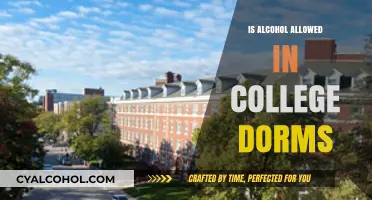 Alcohol in College Dorms: Policies, Risks, and Student Responsibilities Explained
