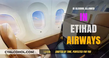 Etihad Airways Alcohol Policy: What You Need to Know