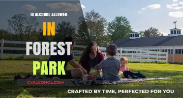 Can You Drink Alcohol in Forest Park? Rules and Regulations Explained