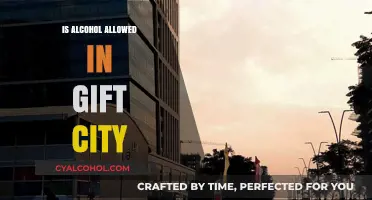 Is Alcohol Allowed in Gift City? Legal Insights and Regulations