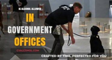 Alcohol in Government Offices: Policies, Restrictions, and Workplace Etiquette
