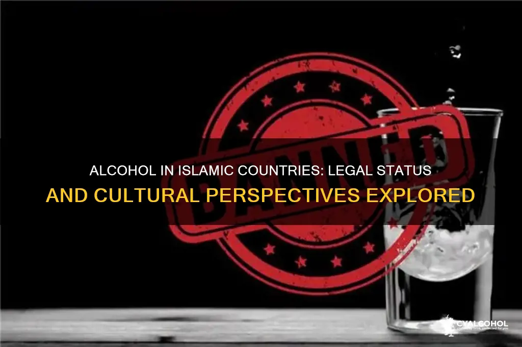 is alcohol allowed in islamic countries