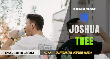 Can You Bring Alcohol to Joshua Tree? Rules and Regulations Explained